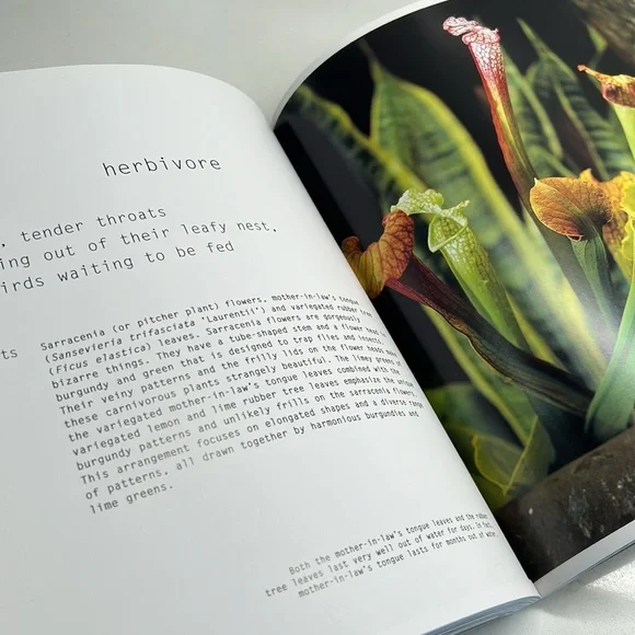 Flowers At Home Rare Floral Design Softcover Book By Mariella Ienna - Picture 13 of 14